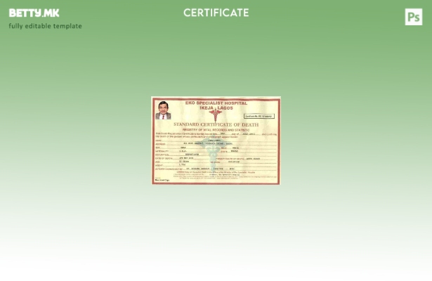 Модерен стил шаблон за уверение за смрт во специјализирана болница во Нигерија Е